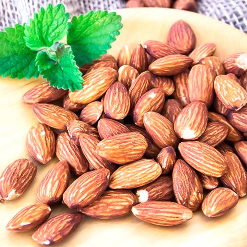 Миндаль Приморский изображение 1 артикул 4206