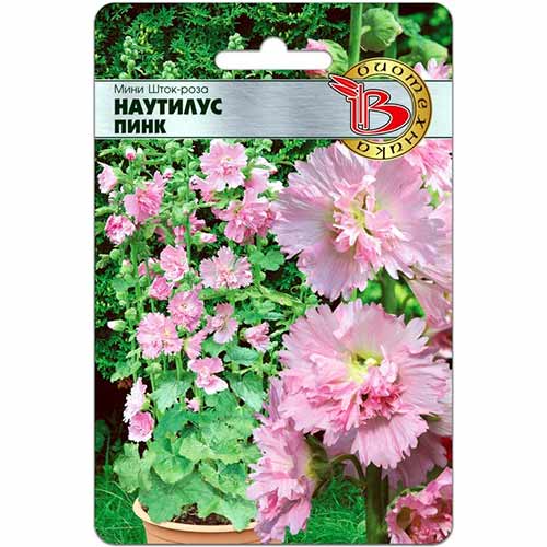 Шток-роза мини Наутилус Пинк Биотехника изображение 1 артикул 74095