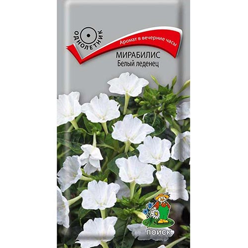 Мирабилис Белый леденец, семена изображение 1 артикул 93050
