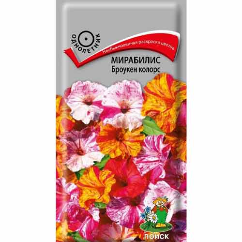 Мирабилис Броукен колорс, смесь окрасок Поиск изображение 1 артикул 93051