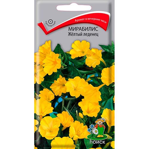 Мирабилис Желтый леденец, семена изображение 1 артикул 93052