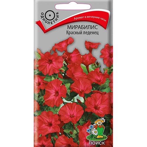 Мирабилис Красный леденец, семена изображение 1 артикул 93053