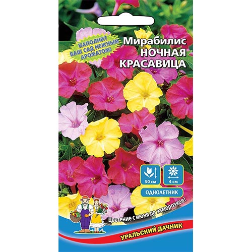 Мирабилис Ночная красавица, смесь окрасок изображение 1 артикул 94830