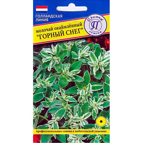 Молочай Горный снег Престиж изображение 1 артикул 83173