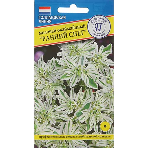 Молочай Ранний снег Престиж изображение 1 артикул 71485