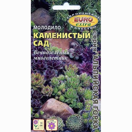 Молодило Каменистый сад, смесь окрасок Аэлита артикул фото 1 Молодило Каменистый сад, смесь окрасок Аэлита изображение 1 артикул 99006