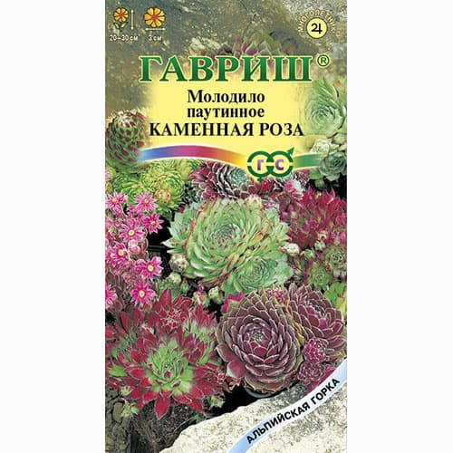 Молодило паутинное Каменная Роза, смесь окрасок Гавриш артикул фото 1 Молодило паутинное Каменная Роза, смесь окрасок Гавриш изображение 1 артикул 71102