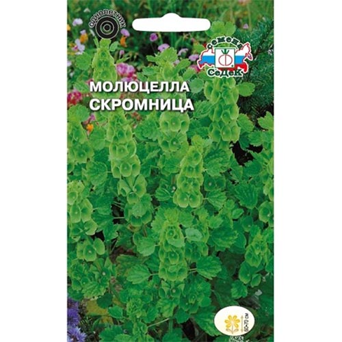 Молюцелла Скромница, семена изображение 1 артикул 93906