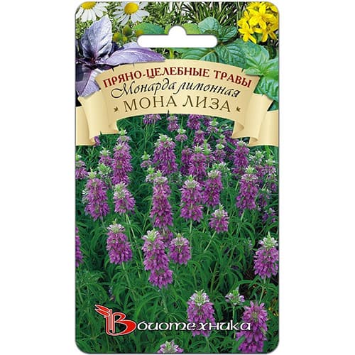 Монарда лимонная Мона Лиза, семена артикул фото 1 Монарда лимонная Мона Лиза, семена изображение 1 артикул 91592