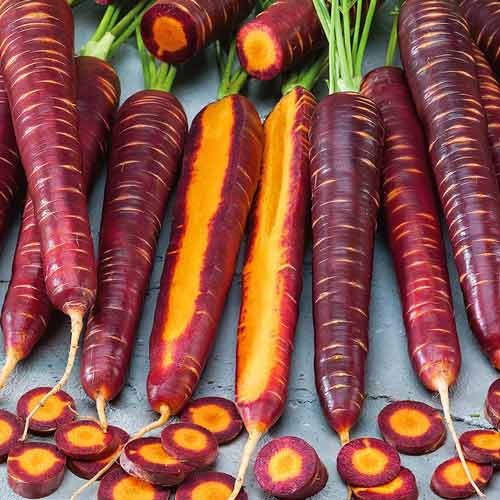 Морковь Чаровница шоколадная изображение 1 артикул 71626