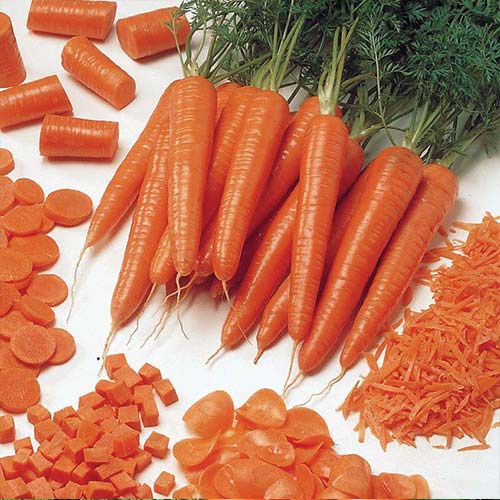 Морковь Флайвей F1 Русский огород НК изображение 1 артикул 82778