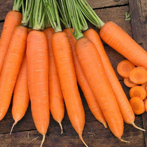 Морковь Красная звезда Уральский дачник изображение 1 артикул 84946