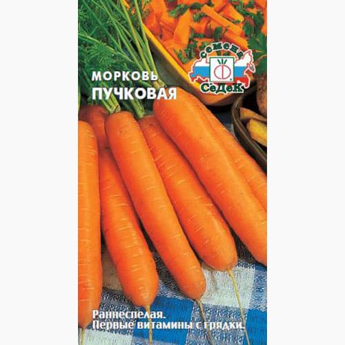 Морковь Пучковая Седек изображение 1 артикул 98030
