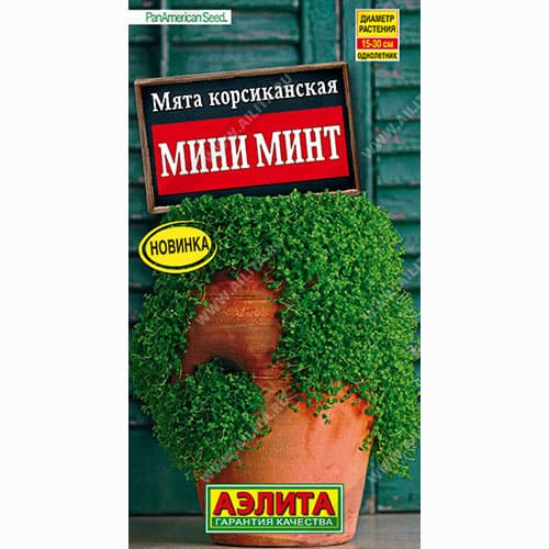 Мята корсиканская Мини минт Аэлита изображение 1 артикул 99007