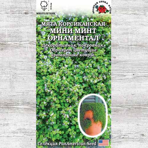 Мята Корсиканская Мини Минт изображение 1 артикул 83722