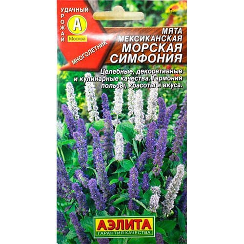 Мята мексиканская Морская симфония Аэлита изображение 1 артикул 98380