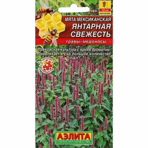 Мята мексиканская Янтарная свежесть Аэлита изображение 1 артикул 40114