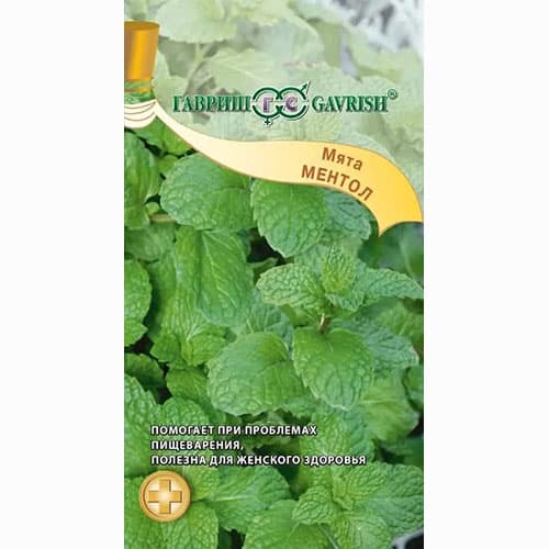 Мята садовая Ментол Гавриш изображение 1 артикул 65033