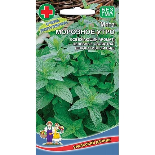 Мята садовая Морозное утро, семена изображение 1 артикул 94586