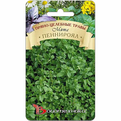 Мята садовая Пеннироял Биотехника изображение 1 артикул 84593