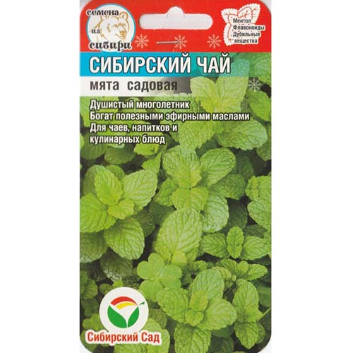 Мята садовая Сибирский чай, семена изображение 1 артикул 94365