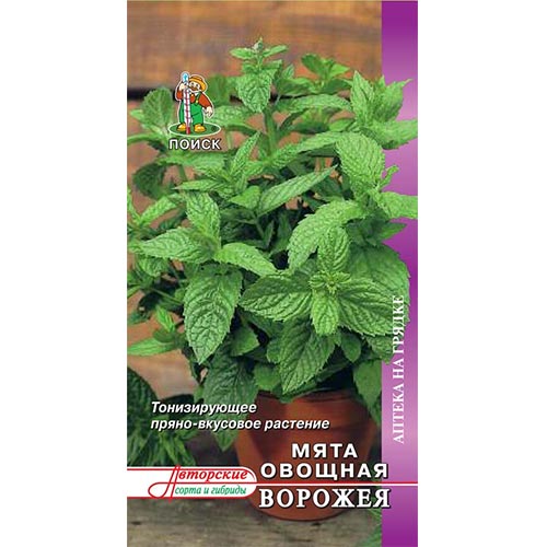 Мята садовая Ворожея, семена изображение 1 артикул 92767
