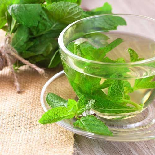 Мята Сибирский чай изображение 1 артикул 66636