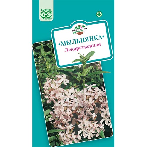 Мыльнянка, семена артикул фото 1 Мыльнянка, семена изображение 1 артикул 92163