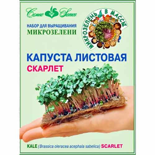 Набор Капуста листовая Скарлет Семко изображение 1 артикул 74903