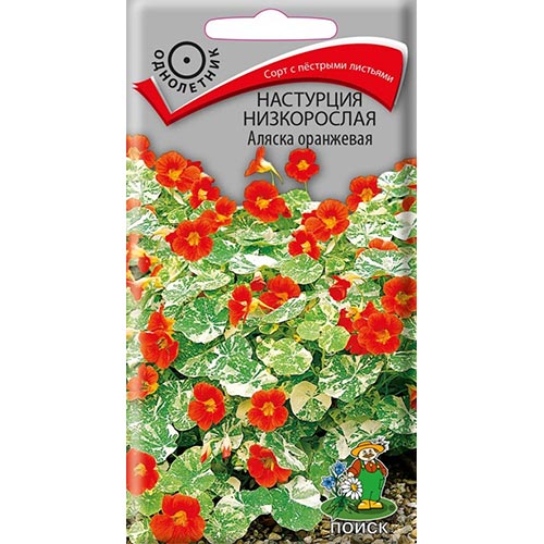 Настурция Аляска оранжевая, семена изображение 1 артикул 93058