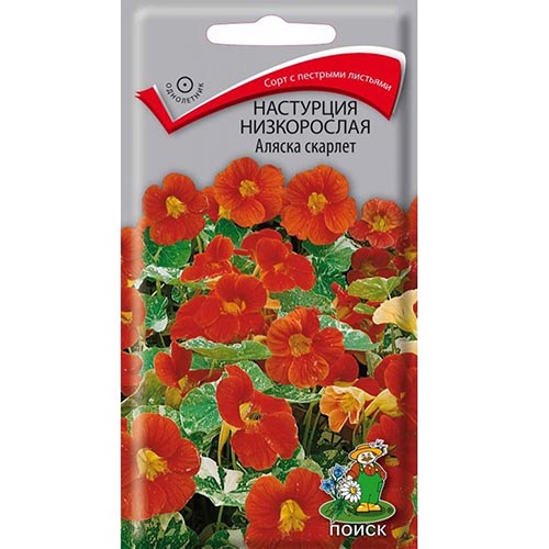 Настурция Аляска Скарлет, семена изображение 1 артикул 93059