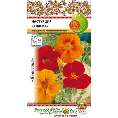 Настурция Аляска, смесь окрасок изображение 1 артикул 92579