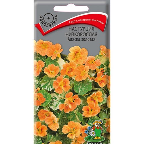 Настурция Аляска золотая, семена изображение 1 артикул 93057