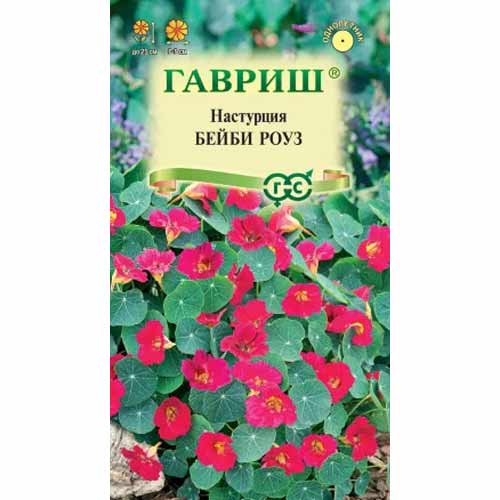 Настурция Бейби роуз Гавриш изображение 1 артикул 87988