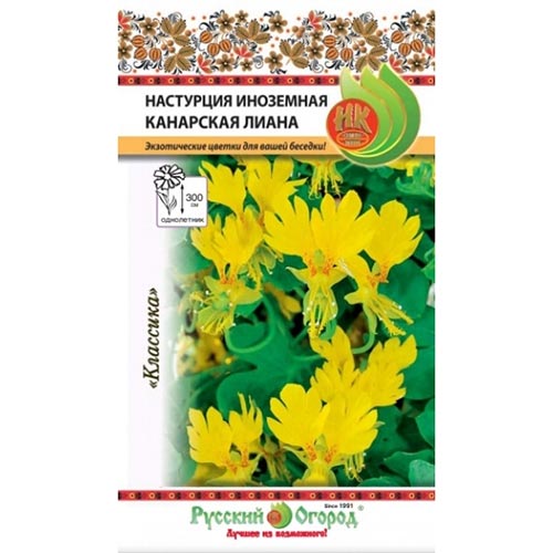 Настурция иноземная Канарская лиана, семена изображение 1 артикул 92581