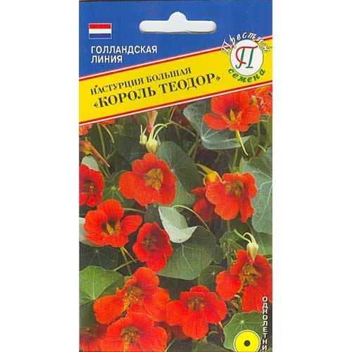 Настурция Король Теодор Престиж изображение 1 артикул 81367