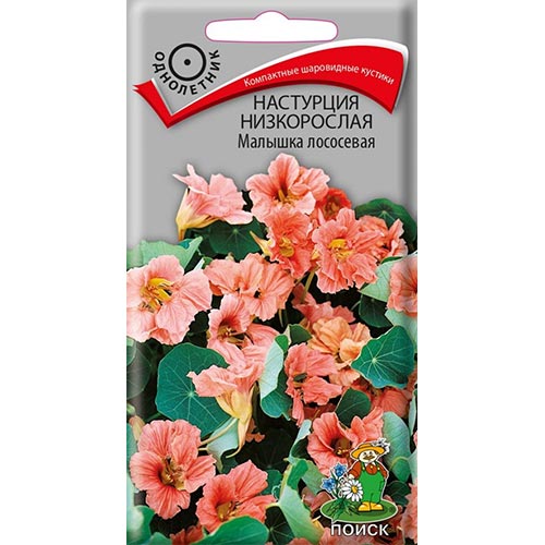 Настурция Малышка лососевая, семена изображение 1 артикул 93067