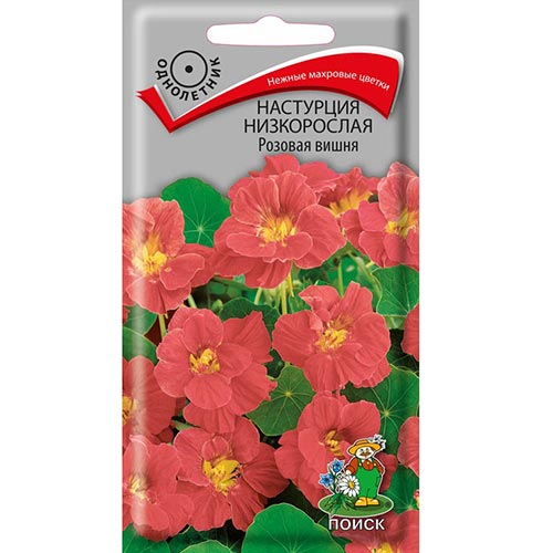 Настурция Розовая вишня, семена изображение 1 артикул 93068