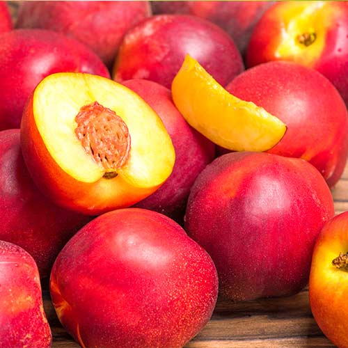 Нектарин Флавор Голд изображение 1 артикул 4220