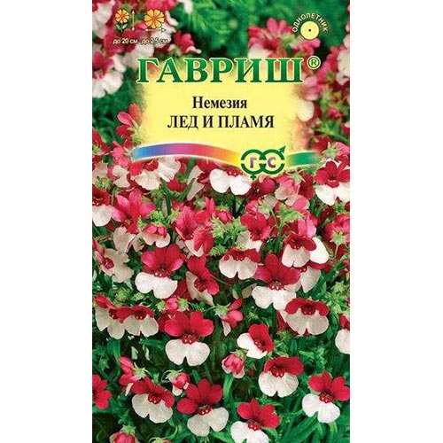 Немезия Лед и Пламя, семена изображение 1 артикул 92177