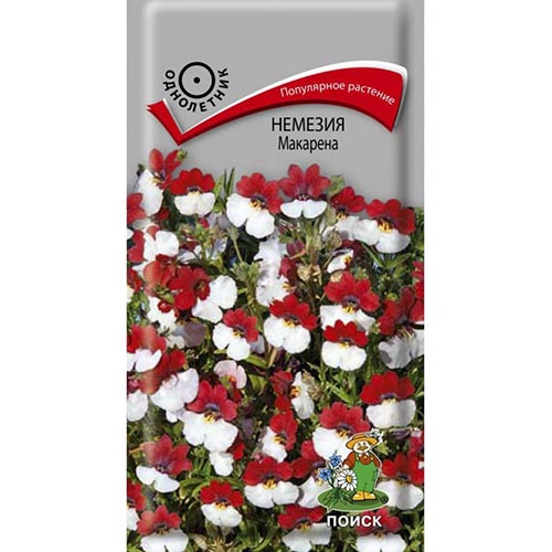 Немезия Макарена, семена изображение 1 артикул 93070