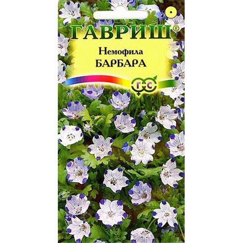 Немофила Барбара, семена изображение 1 артикул 92179