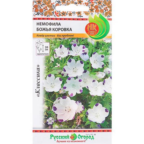 Немофила Божья коровка, семена изображение 1 артикул 92592