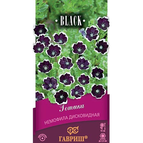Немофила Готика, семена изображение 1 артикул 92180