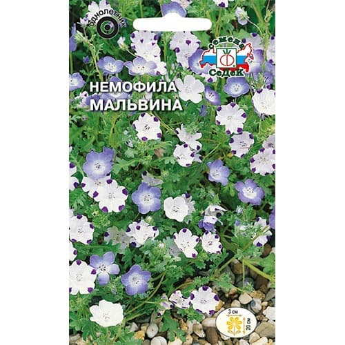 Немофила Мальвина, смесь окрасок изображение 1 артикул 93916