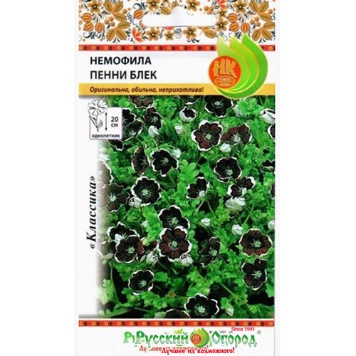 Немофила Пенни блек, семена изображение 1 артикул 92593