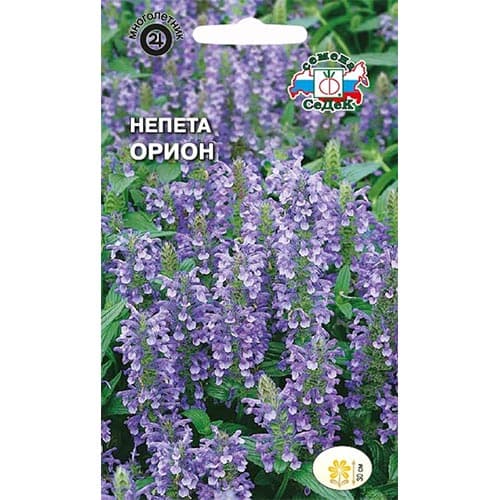 Непета Орион, семена изображение 1 артикул 93917