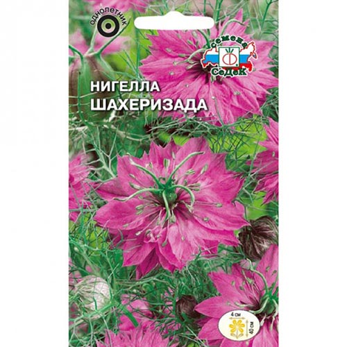 Нигелла дамасская Шахеризада, семена изображение 1 артикул 93927