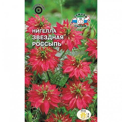 Нигелла дамасская Звездная россыпь, семена изображение 1 артикул 93924