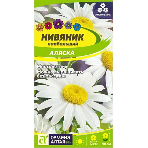 Нивяник Аляска Семена Алтая изображение 1 артикул 81700